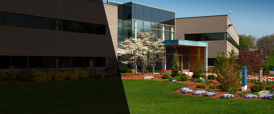 Griffith Landscapers