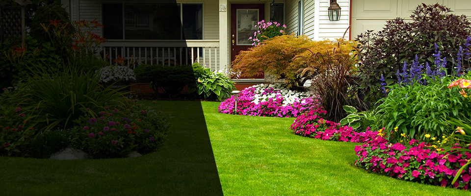 Griffith Landscapers