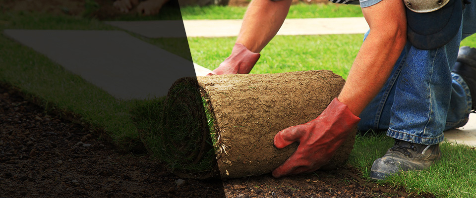 Griffith Landscapers